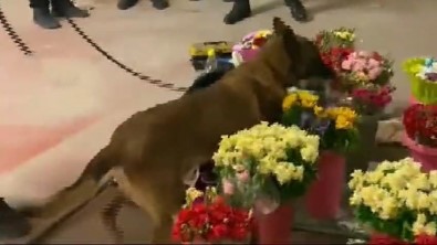 Çiçekçi Kiligindaki Uyusturucu Sevkiyatina Bursa Polisi 'Dur' Dedi