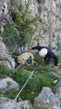 Antakya'da Uçurumda Mahsur Kalan Köpek Kurtarildi
