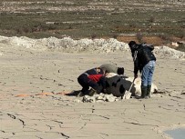 Midyat'ta Batakliga Saplanan Inegi Itfaiye Kurtardi Haberi