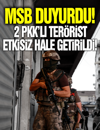 Pençe-Kilit bölgesinde 2 PKK'lı terörist öldürüldü