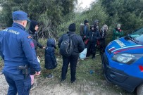 Izmir'de Karada Ve Denizde 91 Kaçak Göçmen Yakalandi