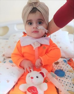 Park Kavgasi Tatliya Baglandi Açiklamasi Taraflar SMA'li Havvanur'a Bagis Yapma Sartiyla Anlasti