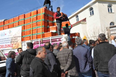 Sason'da Organik Bal Üreticilerine Kovan Destegi