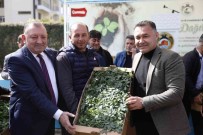 Baskan Yücel'den Üreticilere 500 Bin Ücretsiz Fide Destegi