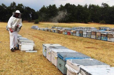 Mugla'da 7 Bin 75 Üreticiye 67,5 Milyon TL Destekleme Ödemesi