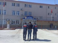 Çesitli Suçlardan Aranan Sahis Nazilli'de Yakalandi