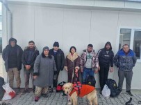 Edirne'de 8 Düzensiz Göçmen Yakalandi Haberi