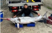 3 metre boyunda 150 kilo ağırlığında: 30 bin TL’ye sattı!