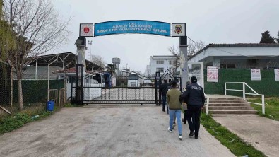 Sinop'ta Aranan Sahislar Yakalandi