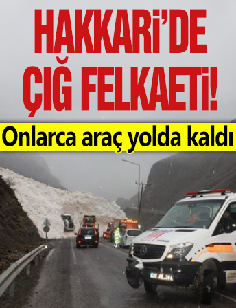 Hakkari'de çığ felaketi: Onlarca araç yolda kaldı