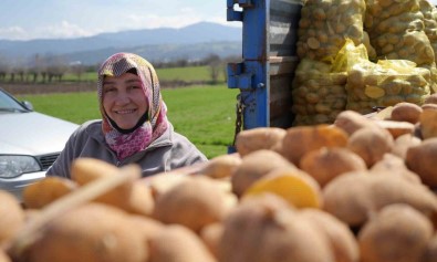 'Patates Diyari'nda Çiftçiler Ekim Mesaisinde