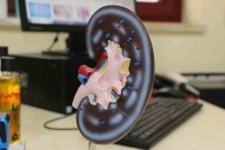 Uzmani, Ramazan Ayinda Günde Kaç Litre Su Tüketilmesi Gerektigini Açikladi