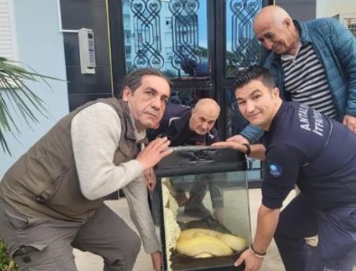 Aynı ilde ikinci piton vakası: Sanırım beni yeme hayali kuruyor