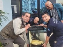 Aynı ilde ikinci piton vakası: Sanırım beni yeme hayali kuruyor