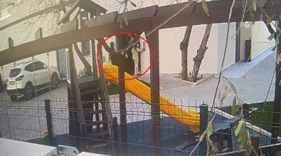(Özel) Hirsizlarin 'Pes' Dedirten Taktigi...Hirsizlik Için Önce Çocuk Yapiyorlar