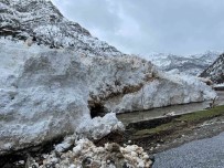 Pervari-Çatak Yolu Çig Nedeniyle Ulasima Kapandi Haberi