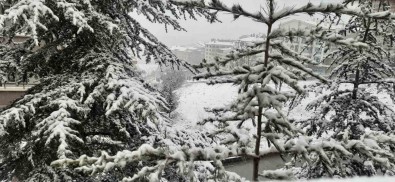 Ankara'da Kar Yagisi Basladi