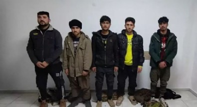 Elazığ’da 5 düzensiz göçmen yakalandı