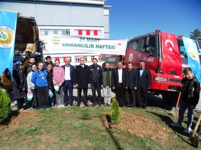 Hisarcik'ta Orman Haftasi Etkinlikleri