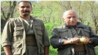 MİT'ten Kandil'de nokta operasyon: PKK/KCK'nın sözde sorumlusu Barzan Hesenzade öldürüldü