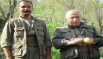 MIT'ten PKK/KCK'ya Irak'ta Nokta Operasyon