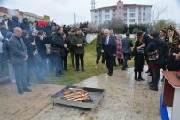 Sinop'ta Nevruz Kutlamasi Haberi