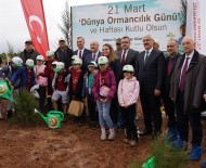 Adana'da 50 Bin Fidan Toprakla Bulustu