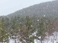 Ardahan'in Yüksek Kesimlerinde Kar Yagisi Etkili Oldu