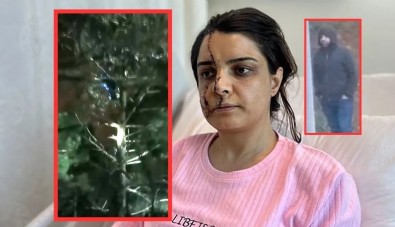 Marmaray’daki saldırganın ağaçtaki görüntüsü ortaya çıktı: Tırmanıp taciz etti!