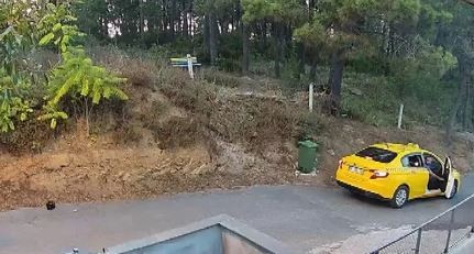 Marmaray’daki saldırganın ağaçtaki görüntüsü ortaya çıktı: Tırmanıp taciz etti!