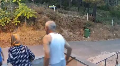 Marmaray’daki saldırganın ağaçtaki görüntüsü ortaya çıktı: Tırmanıp taciz etti!