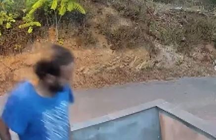 Marmaray’daki saldırganın ağaçtaki görüntüsü ortaya çıktı: Tırmanıp taciz etti!