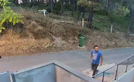 Marmaray’daki saldırganın ağaçtaki görüntüsü ortaya çıktı: Tırmanıp taciz etti!