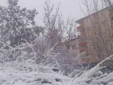 Agri'da Mart'ta Kar Sürprizi Açiklamasi Sehir Beyaza Büründü