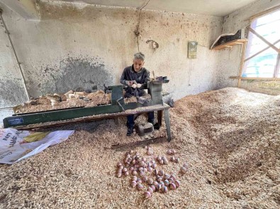 Teknolojiye Karsi Direnen Topacin Son Ustasi, 25 Yildir Ahsaba Sekil Veriyor