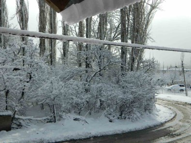 Posof'ta Kar Etkili Oluyor