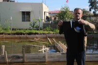 Sicak Yuva Hayaliyle Çiktigi Yolda 450 Bin TL'sinden Olan Depremzedenin Elinde Firmanin Promosyon Ürünleri Kaldi