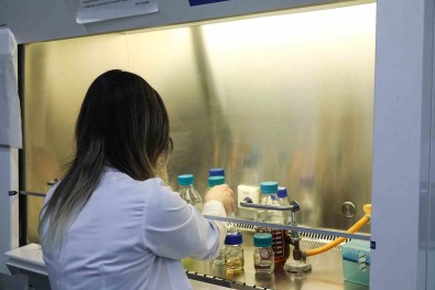 BTÜ Ögrenci Projelerinde Ilk 6'Da