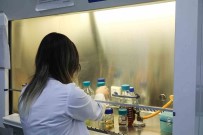 BTÜ Ögrenci Projelerinde Ilk 6'Da