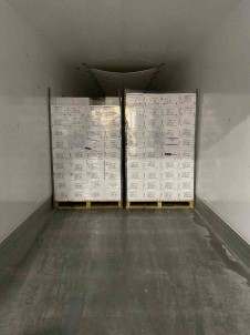 Söke'nin Baliklari, Hollanda Yolcusu