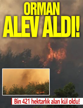 15 bölge 58 orman yangını! Bin 421 hektarlık alan küle döndü!