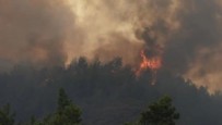 15 bölge 58 orman yangını! Bin 421 hektarlık alan küle döndü!