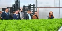 AK Parti Trabzon Büyükşehir Belediye Başkan Adayı Genç kentsel tarım projelerini açıkladı Haberi