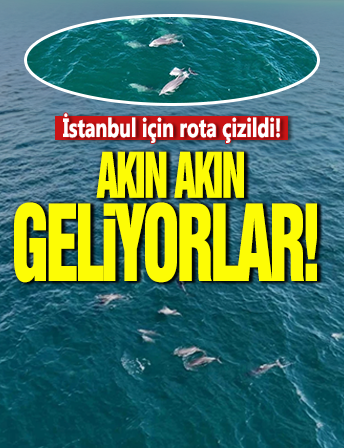 Akın akın geliyorlar! İstanbul'da rota çizildi: Kimse durduramayacak...