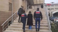 Seçimlere müdahale için gönderilen terörist Şırnak’ta yakalandı Haberi