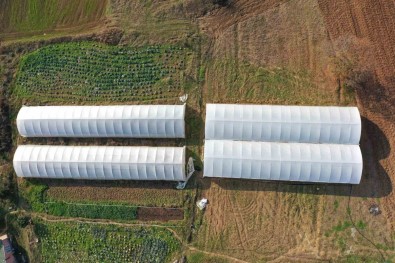 Yüzde 50 Hibeli Modern Sera Destegi