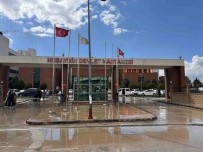 Mardin'de Kalça Çikigi Ameliyati Ile Hastanin Boyu 6 Santimetre Uzadi