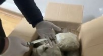 Kargo paketinden 26 kilo esrar çıktı: 1 tutuklama Haberi
