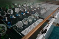 'Mukaddes Emanetler' Ona Emanet Açiklamasi Peygamber Efendimiz'in Sakal-I Serifi Istanbul'da Restore Ediliyor