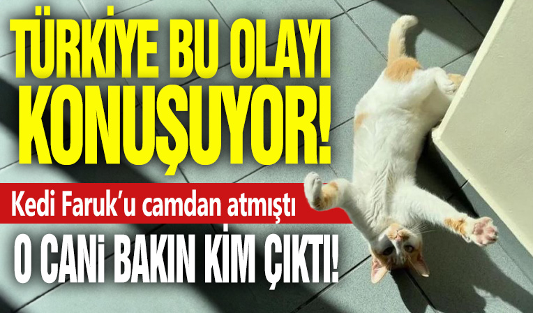 Türkiye bu olayı konuşuyor! Kedi Faruk’u camdan atmıştı: O cani bakın kim çıktı!
